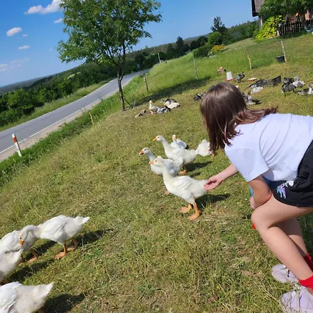 度假居 Ranczo Na Kaszubach