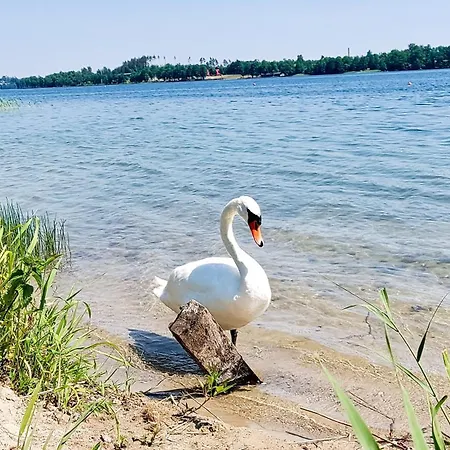 Ranczo Na Kaszubach Holiday home Parchowo