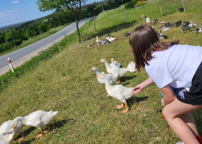 Dom wakacyjny Ranczo Na Kaszubach
