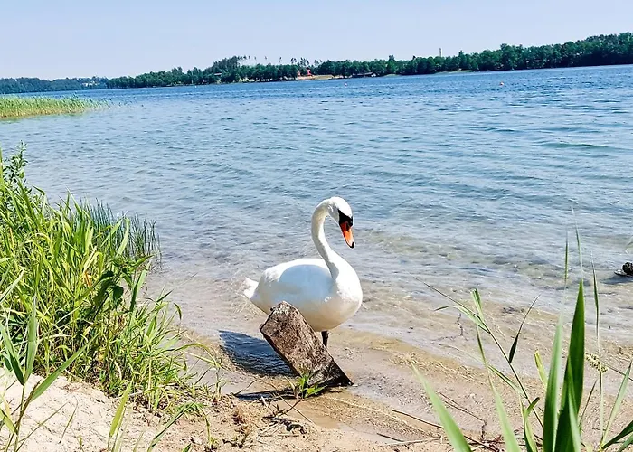 Ranczo Na Kaszubach Dom wakacyjny Parchowo