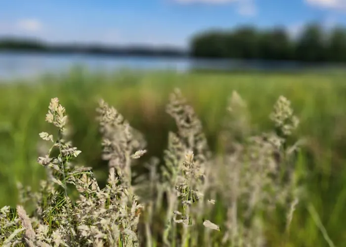 Dom wakacyjny Ranczo Na Kaszubach *